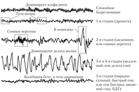 Разные значения сна