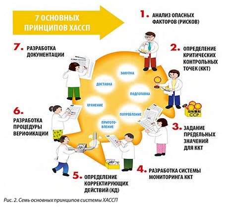 Разработка и внедрение мер безопасности