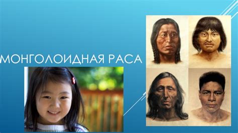 Раса в географии 10 класс: понятие и значения