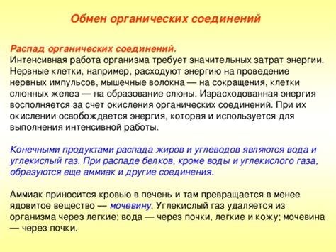 Распад органических соединений в цветке при увядании