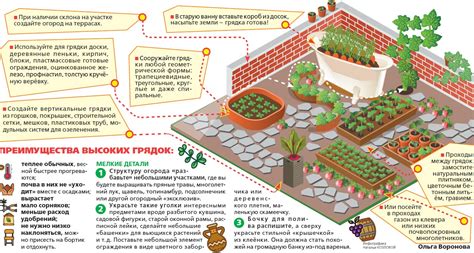 Распланирование посадки ягодного поля: энергичное уход и нестандартный результат