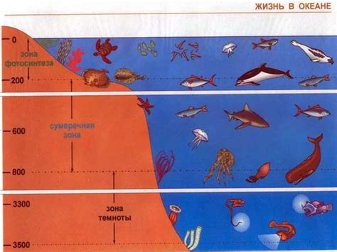 Распространение вредоносных организмов