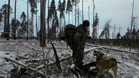 Распространение образов с кругом над головой