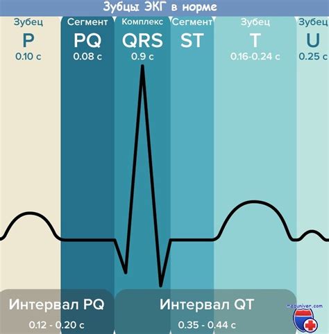 Расслабление перед ЭКГ: как влияет на результат