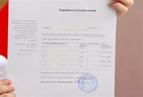 Рассмотрение заявления и выдача статуса