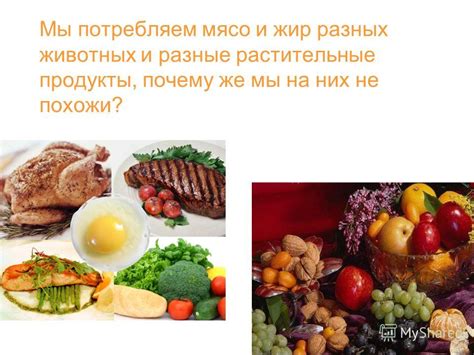 Рассмотрим пищевые продукты, которые похожи на ряженку