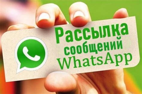 Рассылка в WhatsApp: суть и особенности