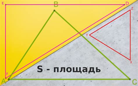 Расчетная площадь: определение и назначение