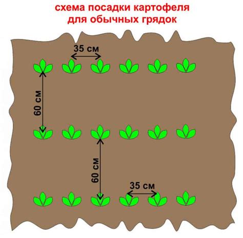 Расчет времени посадки картофеля