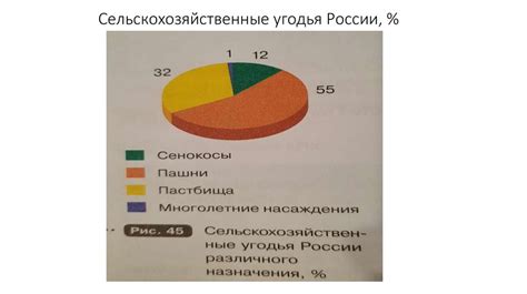 Расшифровка АПК и ее значение