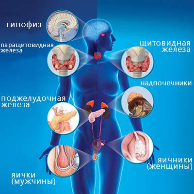 Расшифровка основных симптомов патологий в медицине