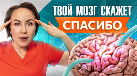 Рациональное питание для улучшения когнитивных функций