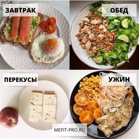 Рацион и режим питания