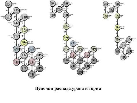 Реакторная каскадная цепочка распада урана