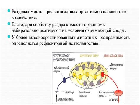 Реакция на аллергены и раздражители