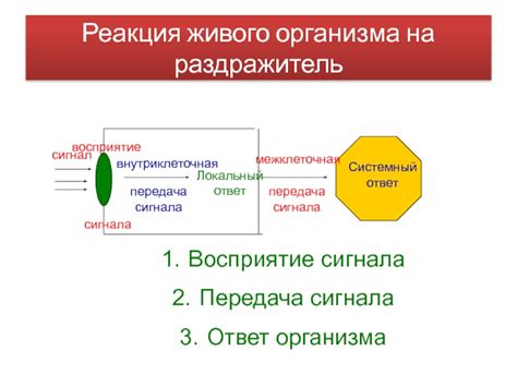 Реакция организма на раздражитель