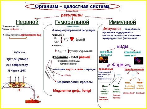 Регуляция биологического синтеза в организме