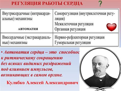 Регуляция работы кровеносной системы: нервная и гормональная