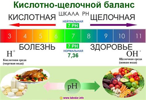 Регуляция pH организма и поддержание здоровья