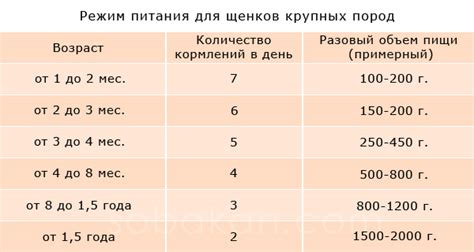 Режим питания и частота кормления