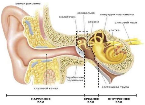 Результаты КТ среднего уха