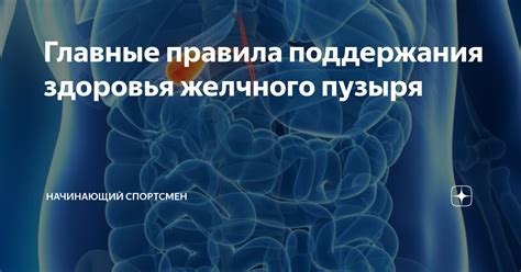 Рекомендации для поддержания нормальной работы желчного пузыря