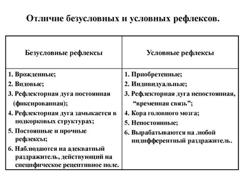 Рефлексы и их роль в поведении и мышлении человека