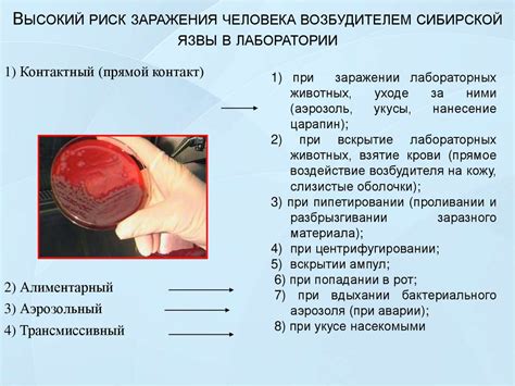 Риск заражения крови и язвы