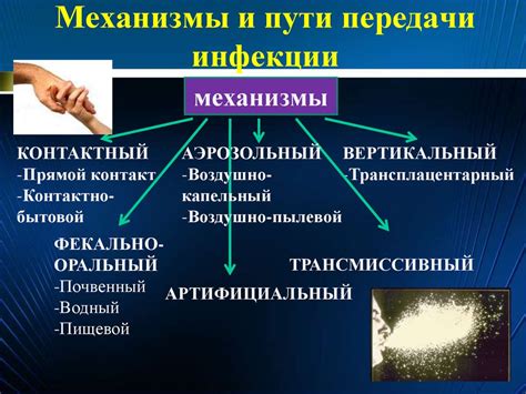 Риск передачи инфекций: проблемы связанные с употреблением крови человека