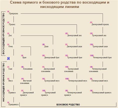 Родственники - ближайший круг родства