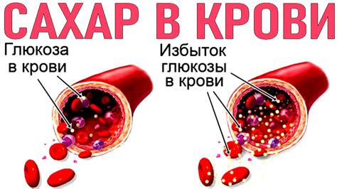 Ролевая теория сахара в организме