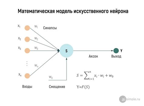 Ролевые функции нейрона: от обработки информации до контроля движений