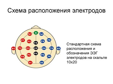 Роль ЭЭГ в определении эпилептической активности