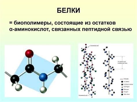 Роль белка и сахара в процессе накипления