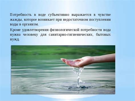 Роль воды для организма