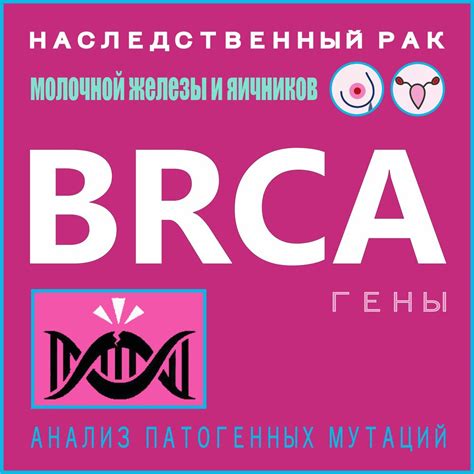 Роль генов BRCA 1 и BRCA 2 в развитии рака молочной железы