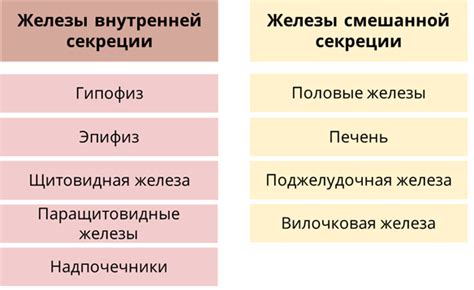 Роль гормонов в организме и их влияние