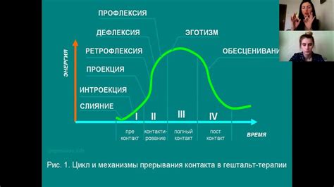 Роль границы контакта в терапии