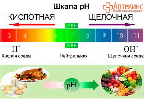 Роль диеты в ослаблении мочи