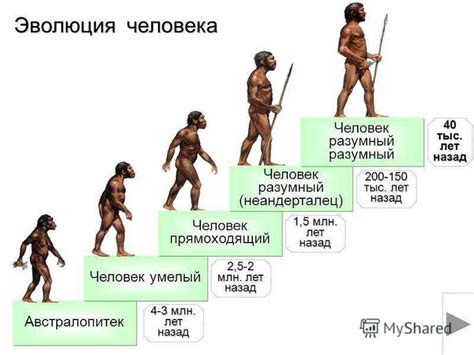 Роль ископаемых в развитии человечества