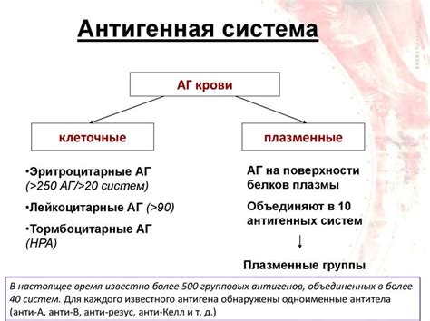 Роль и значение антигенов Келл для организма человека