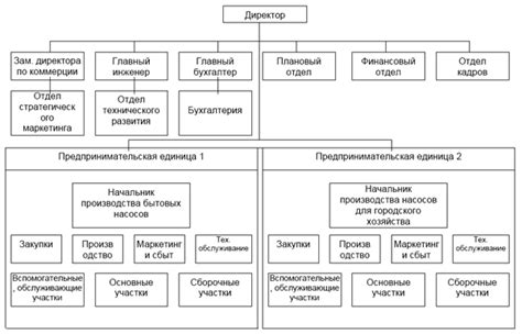 Роль и значение прямого подчинения в организационной структуре