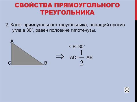 Роль и свойства катетов