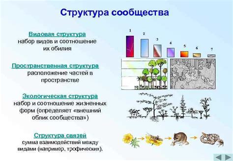 Роль красного пигмента в жизненном цикле растения