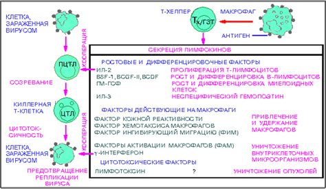 Роль крови в защите от вредителей