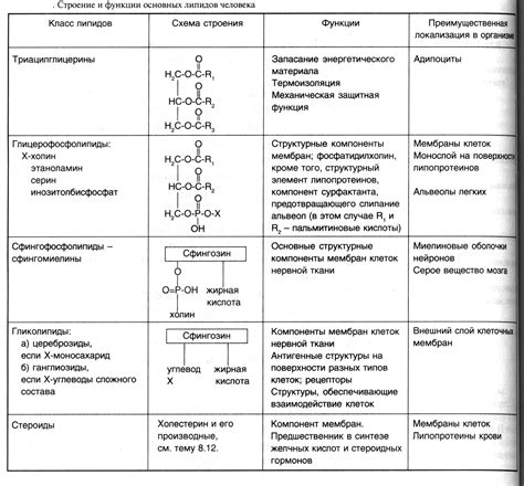 Роль липидов в организме