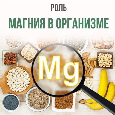 Роль магния В6 в организме