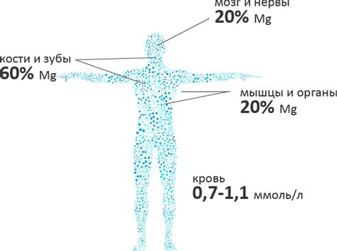 Роль магния в организме детей