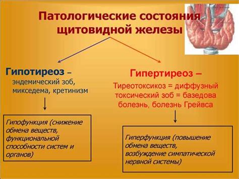 Роль миндалевидной железы в процессе памяти