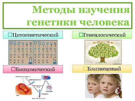 Роль наследия и генетики